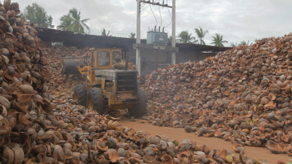 Coconut Taiwan International Documentary Festival