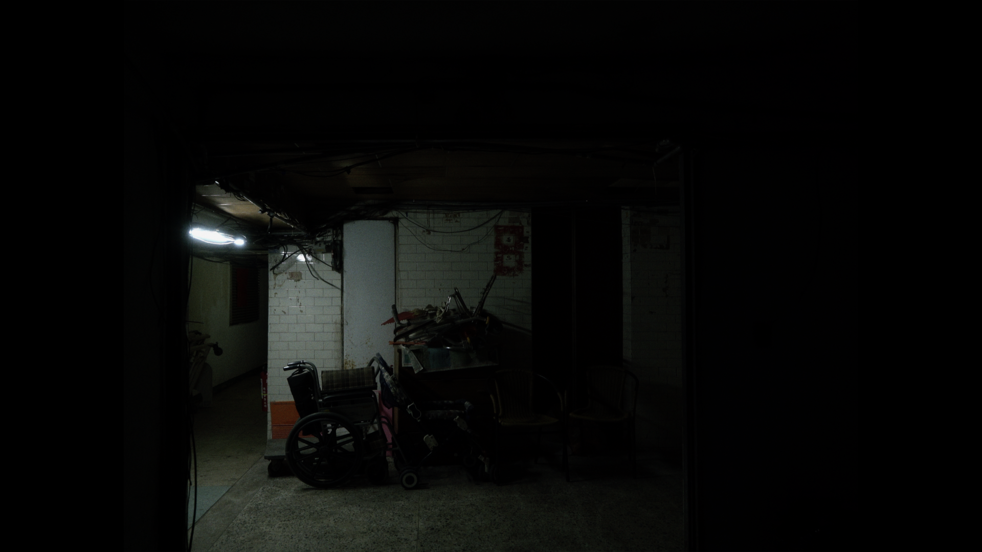 庭中有奇樹 台灣國際紀錄片影展