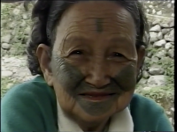 彩虹的故事