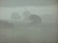 霧