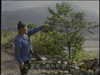 土地到哪裡去了